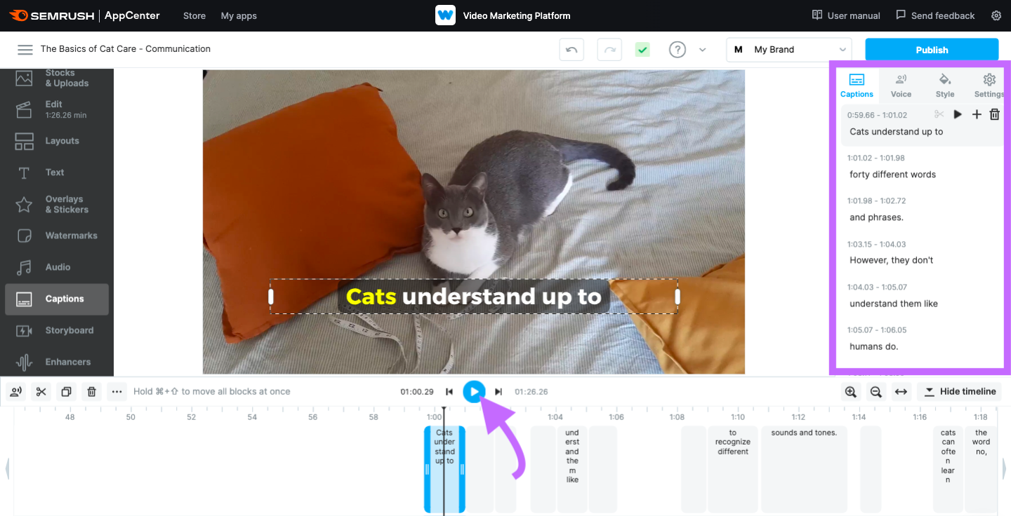 A screenshot of the script opened in the sidebar of the Video Marketing Platform.