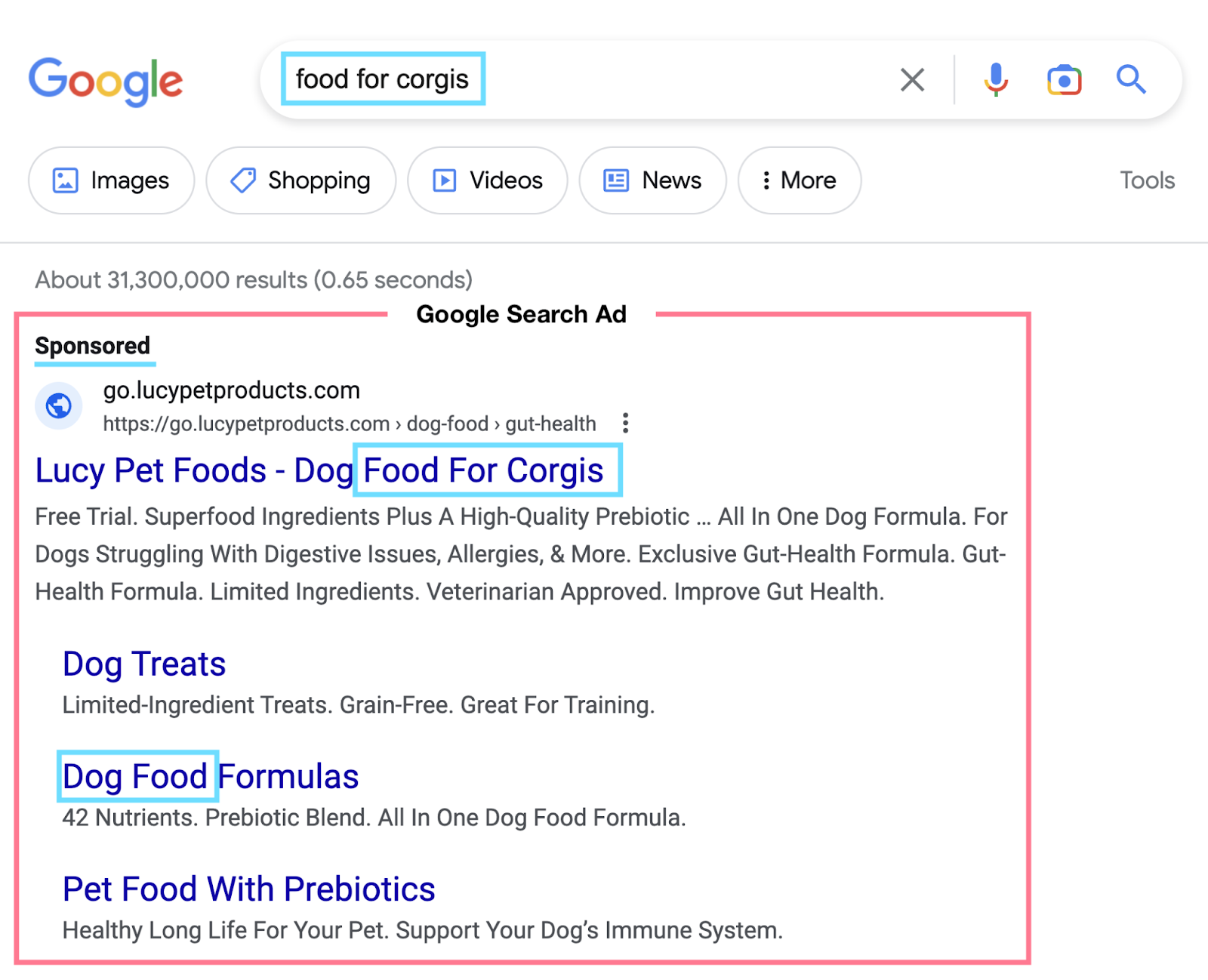 Google Search Ad example