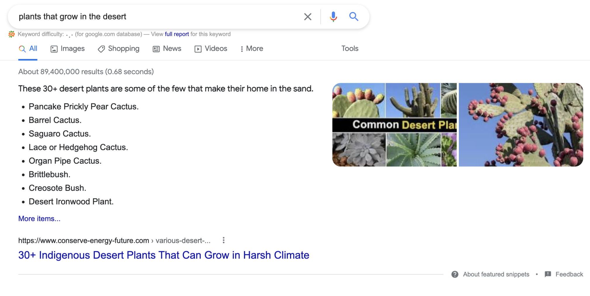search engine results for plants that grow in the desert