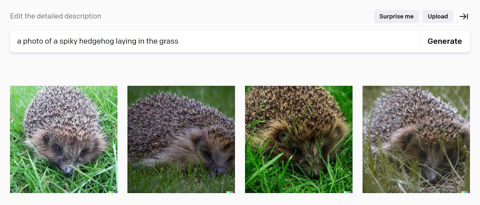 DALL-E 2's generated images for the “a photo of a spiky hedgehog laying in the grass” prompt