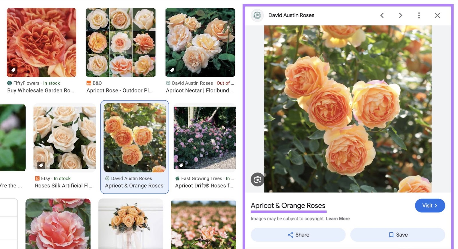 expanded google image result of a rose shows the title tag