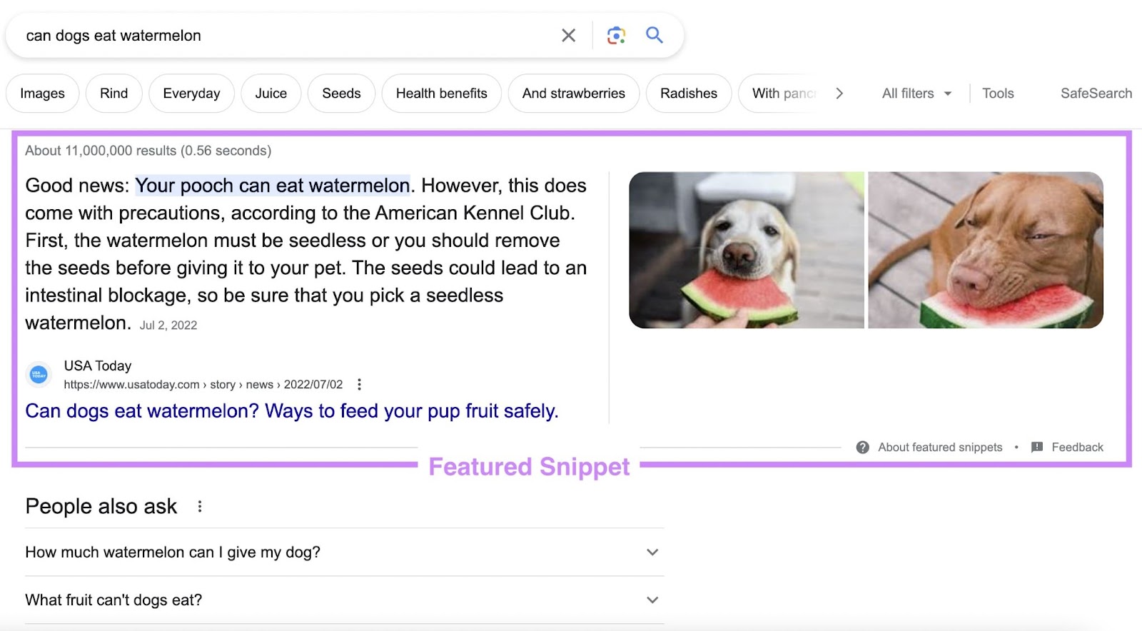 A featured snippet for “can dogs eat watermelon” query