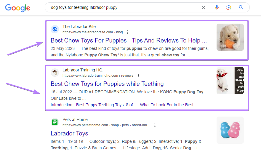 Google search results for “dog toys for teething labrador puppy”