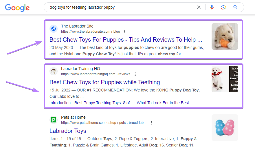 Google search results for “ toys for teething labrador puppy”