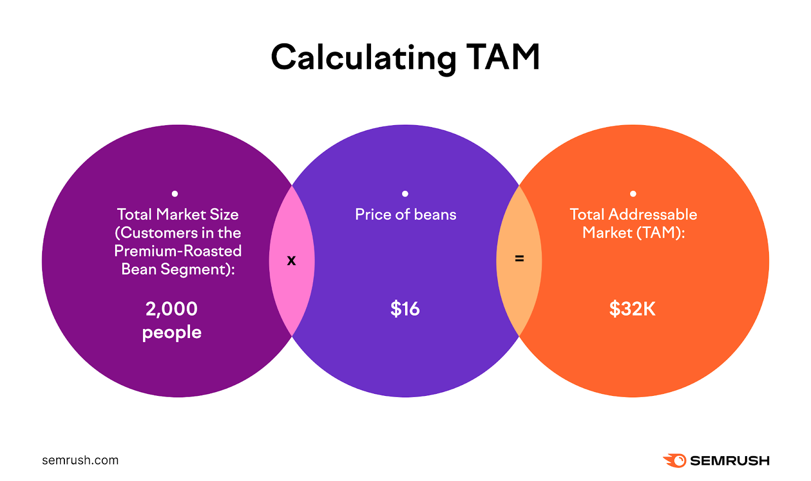 A visual showing how to calculate TAM with above example