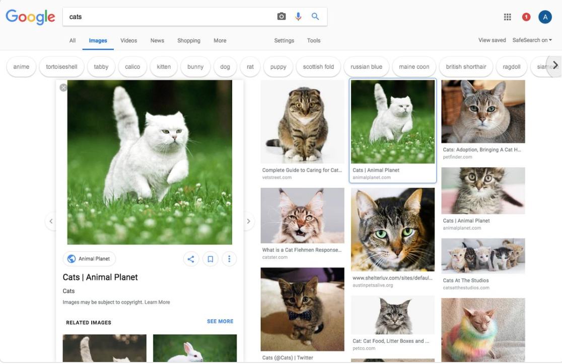 picture search google picture search google