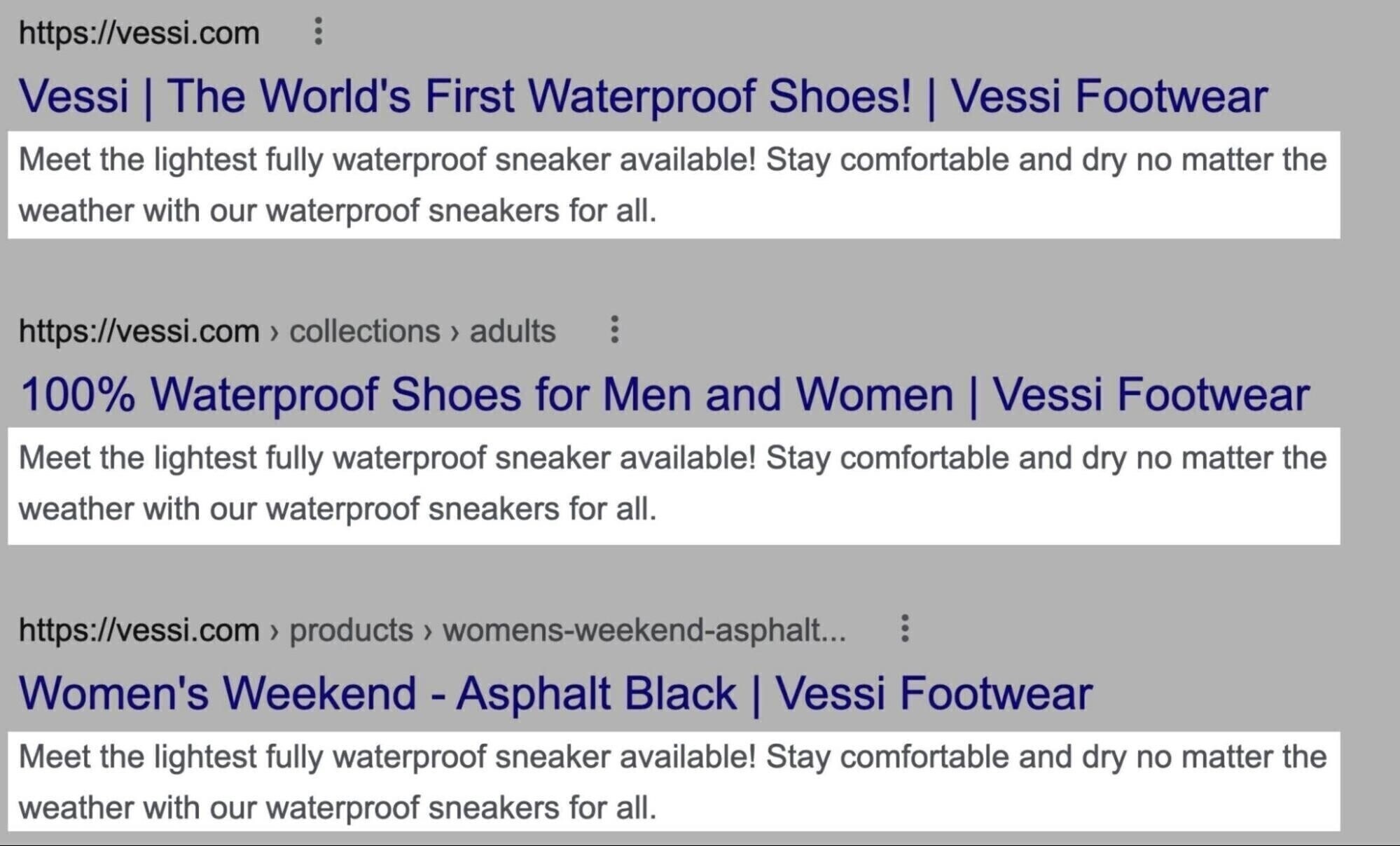 Search engine results page showing duplicate meta descriptions for different pages.