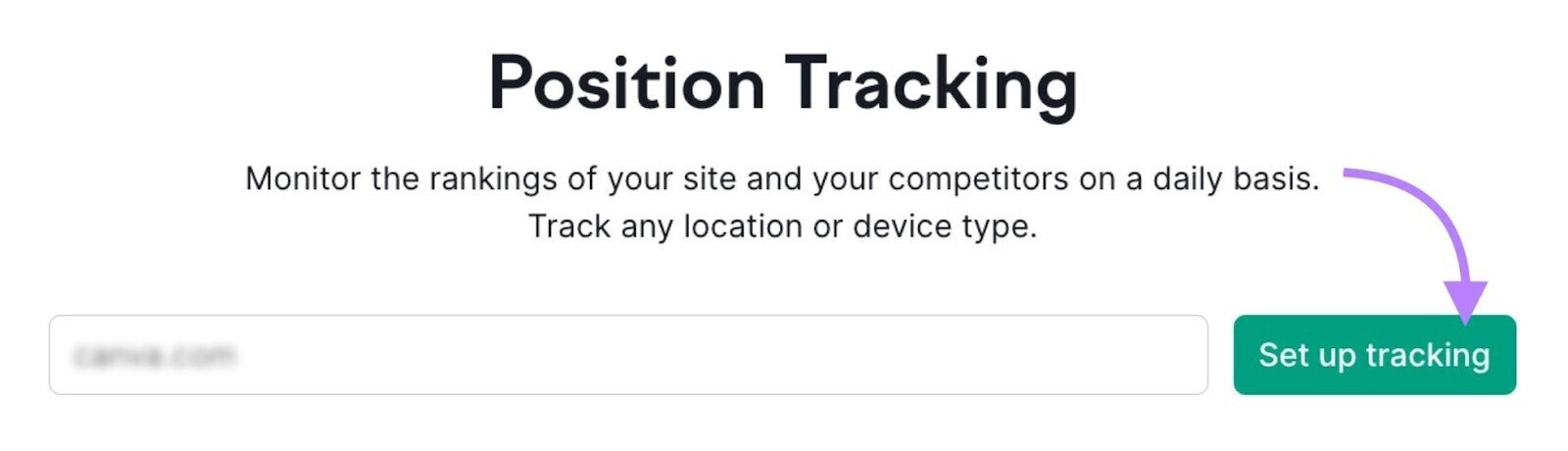 enter your domain in Position Tracking tool