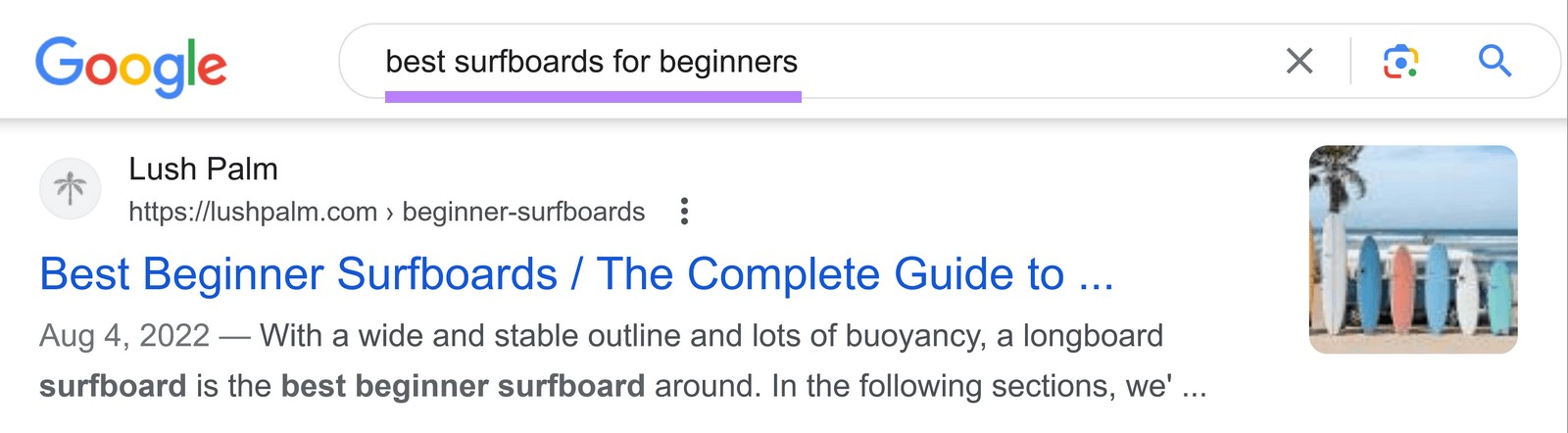 Google search results for “best surfboards for beginners” shows a post "Best Beginner Surfboards / The Complete Guide to..." by Lush Palm