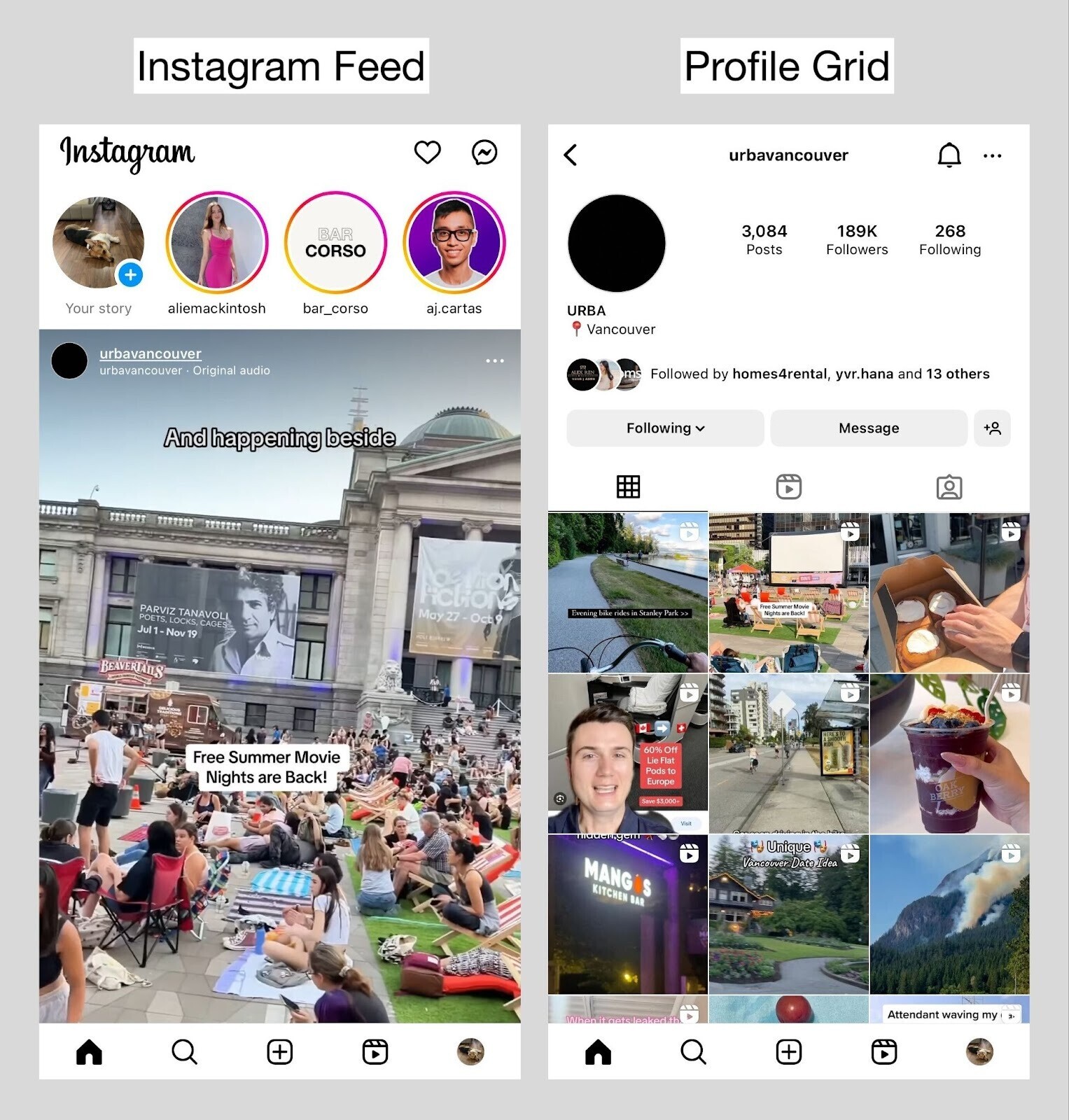 an image showing Instagram feed and profile grid