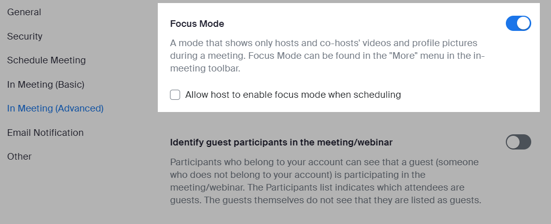 Zoom advanced setting options for when in a meeting showing the Focus Mode and the button to switch it on or off.