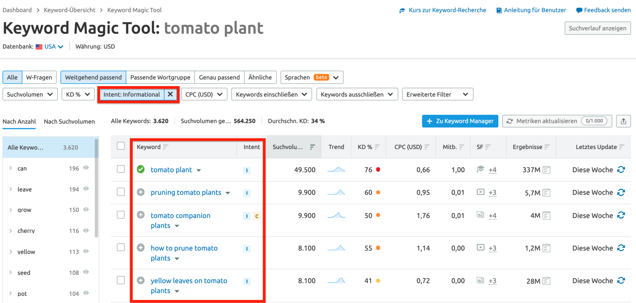 Semrush informationale Suchintention