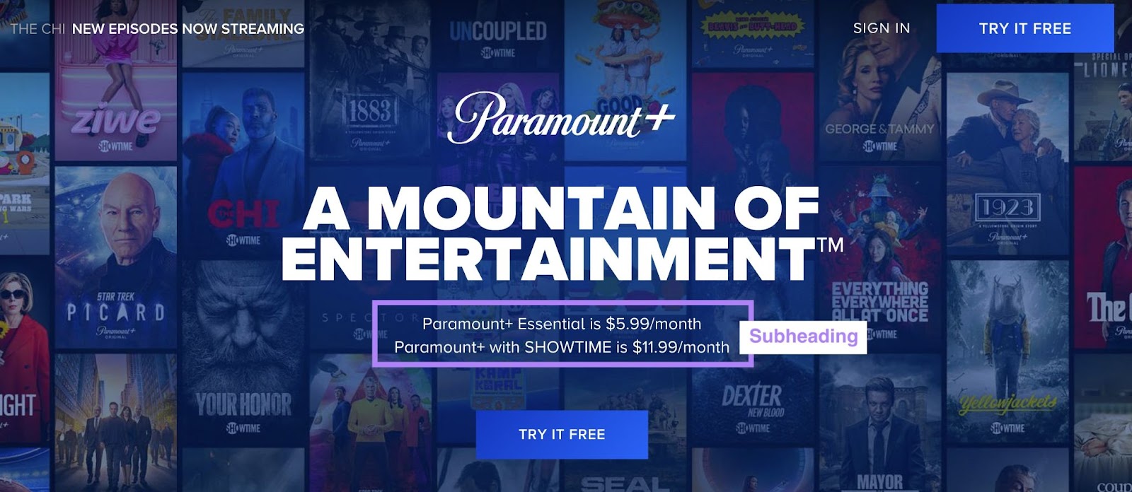Paramount landing page with pricing option subheading highlighted on a background of TV show graphics
