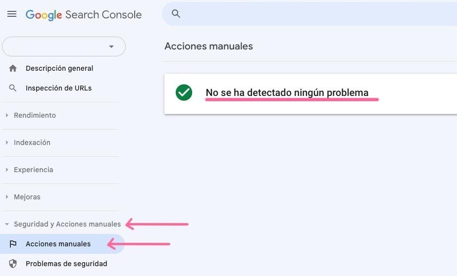 No se ha detectado ningún problema de sitemap