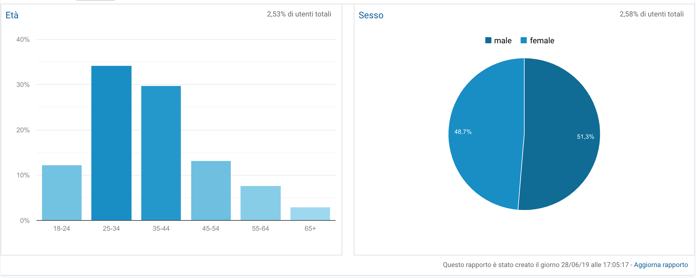 Come usare Google analytics per creare la buyer persona: panoramica pubblico