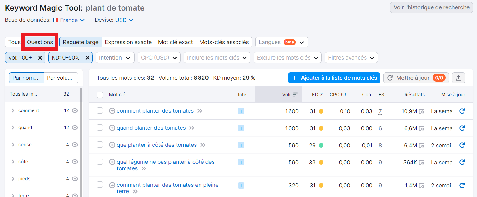 Filtre de Questions dans Keyword Magic Tool