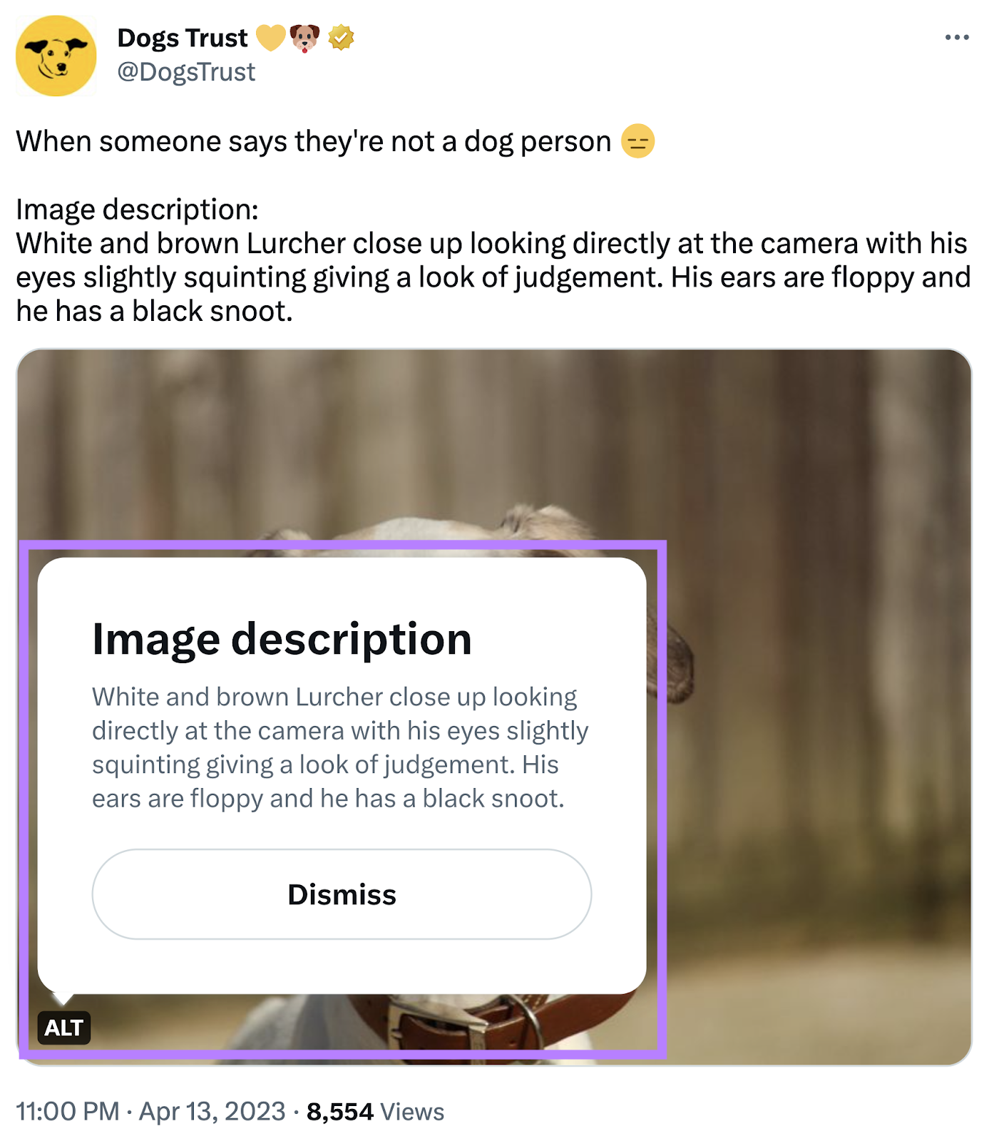 An image tweet from @DogsTrust. The "Alt" label on the image has been clicked, revealing an "Image description" dialog box.
