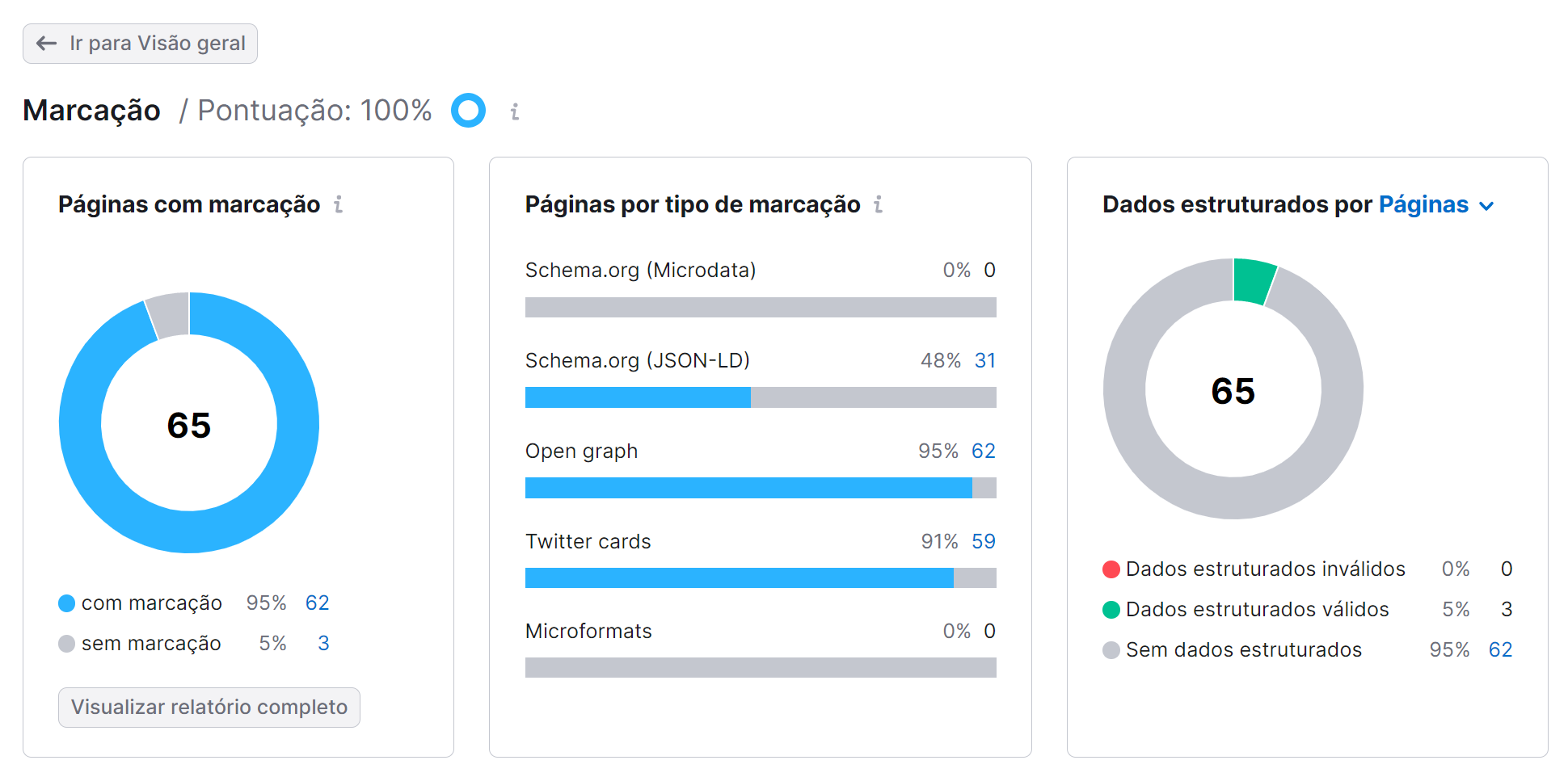 número de páginas com marcação na ferramenta auditoria do site