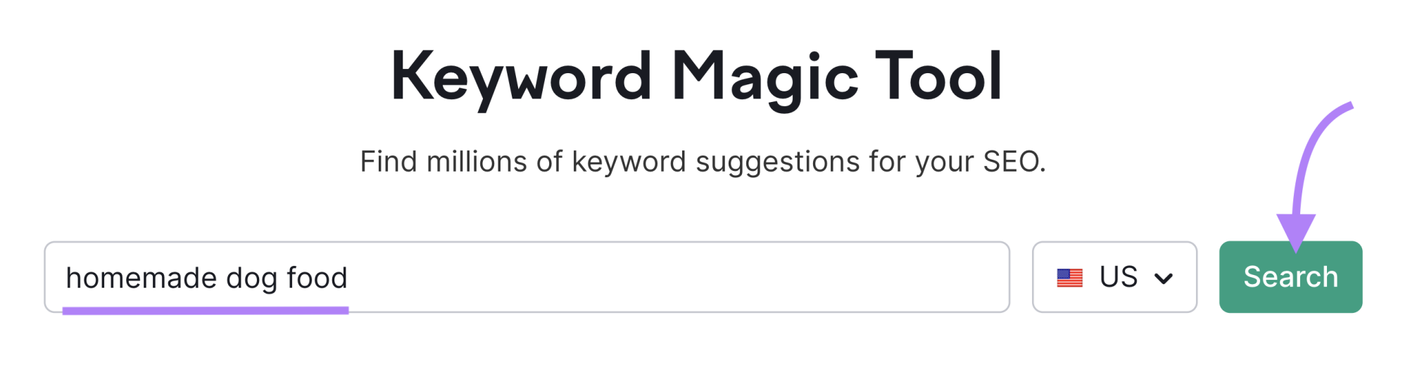 searching seed keyword in keyword magic tool