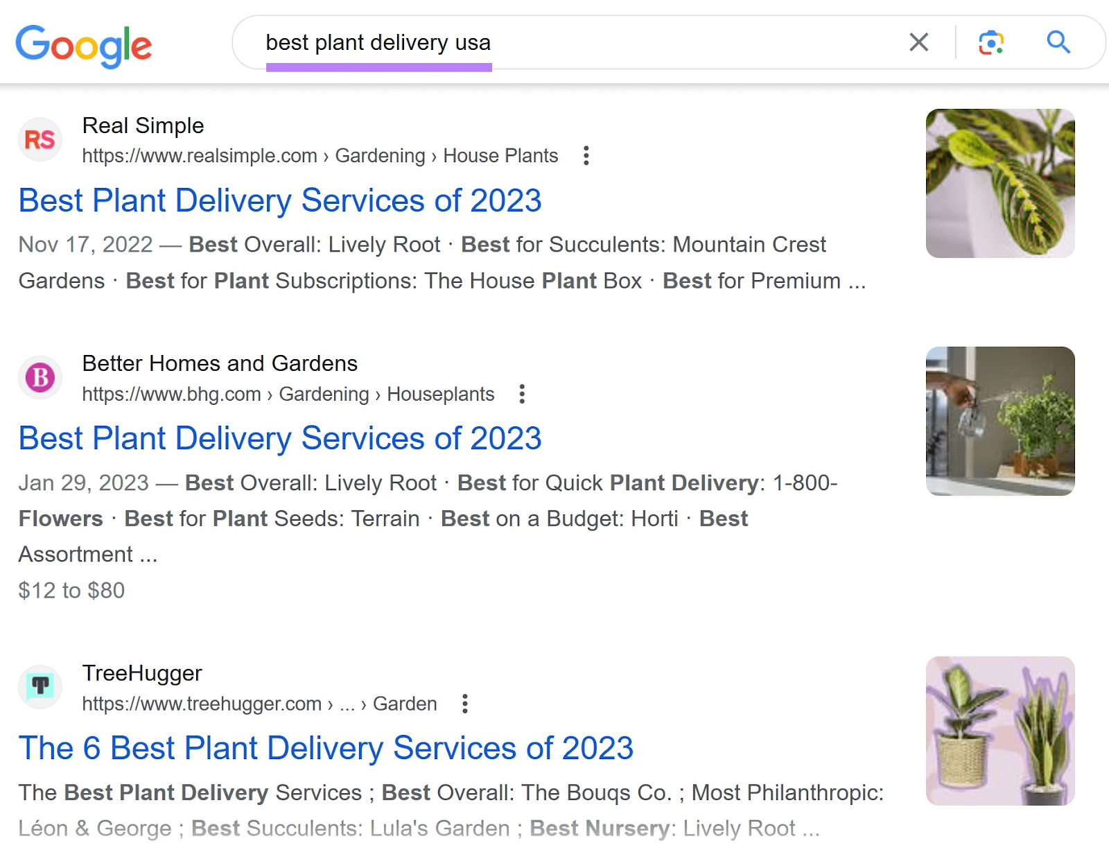 Google SERP for "best plant delivery usa"