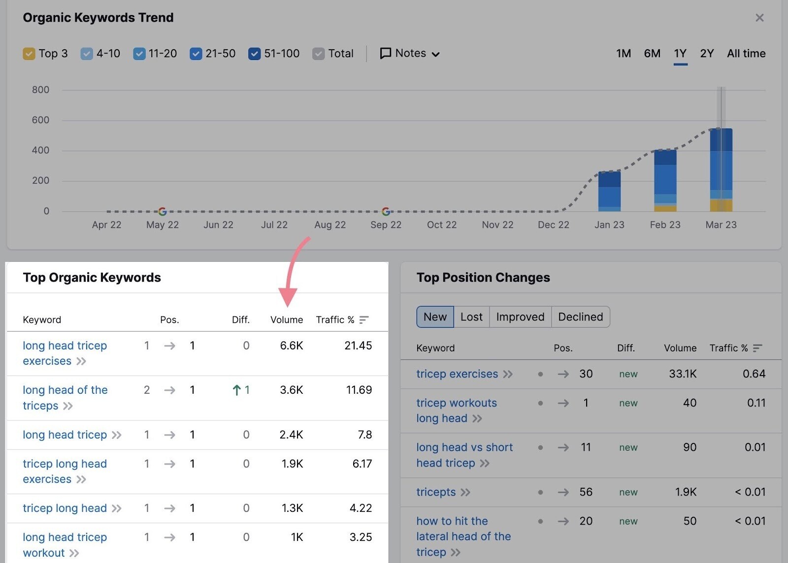 Volumen im Abschnitt Top Organic Keywords