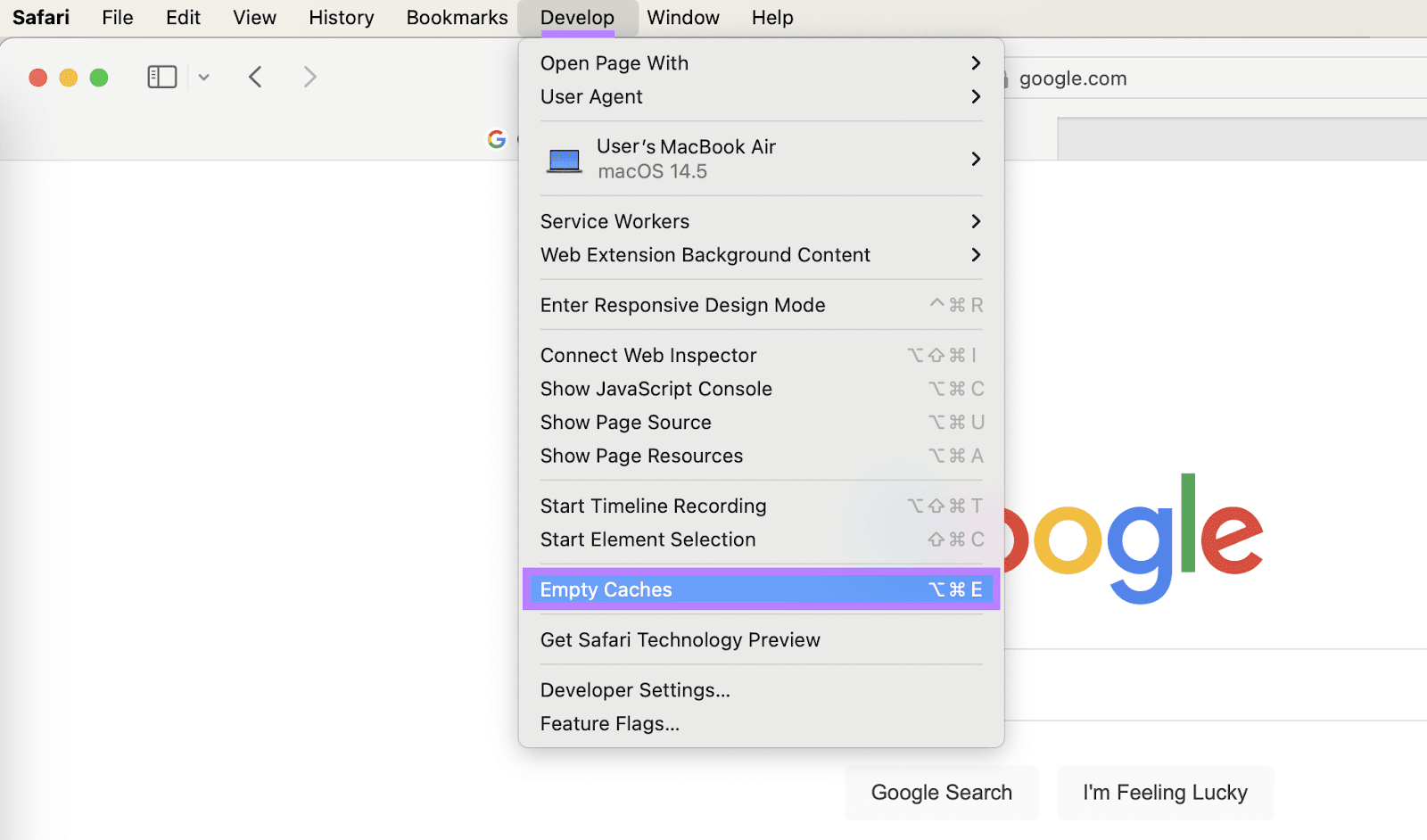 Develop paper   expanded and Empty Caches enactment    highlighted.