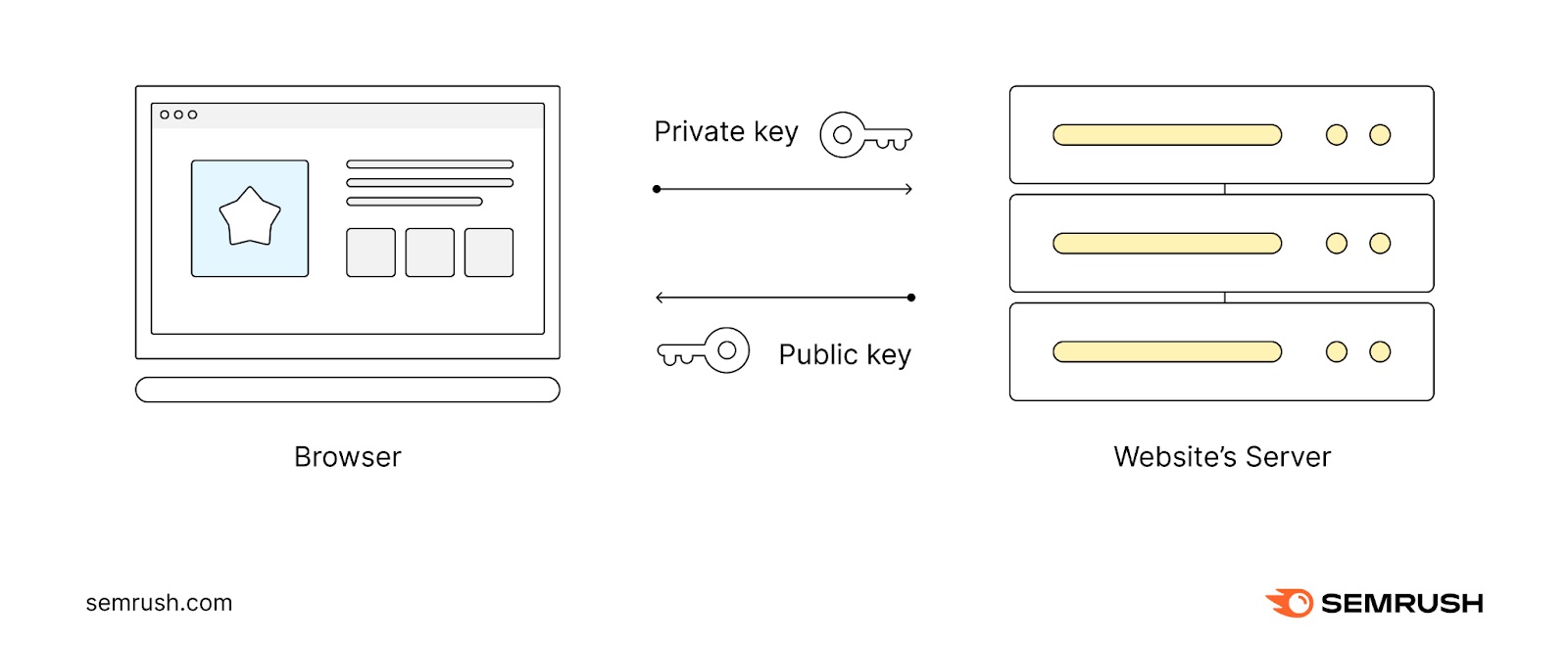 The browser and website's server exchange keys once the SSL/TLS certificate is verified
