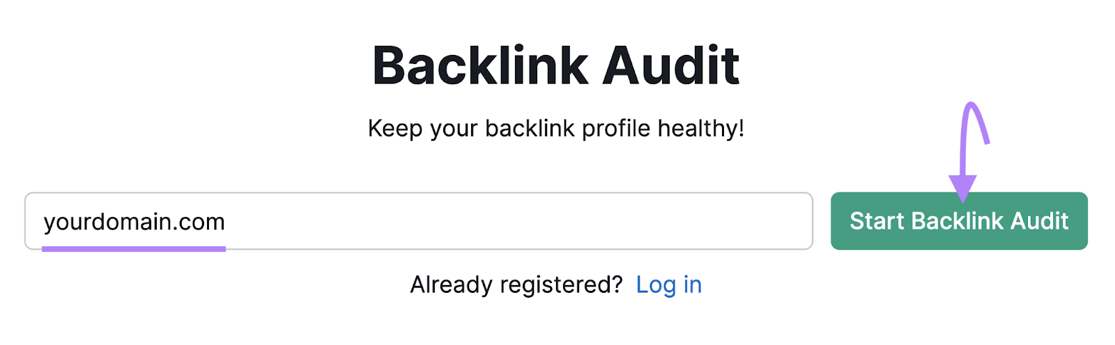 domain entered into Backlink Audit