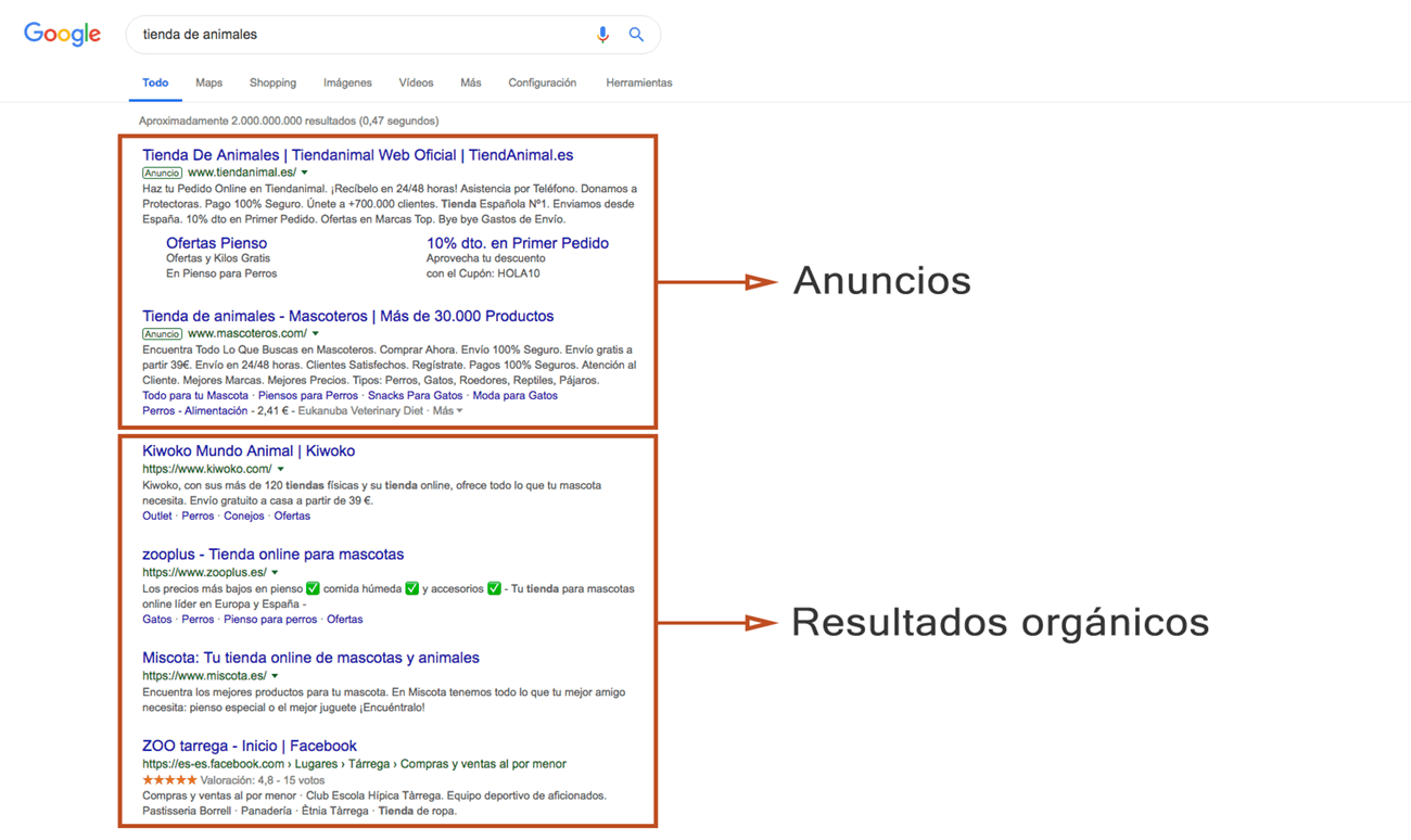 Qué es Google AdSense - Tipos de resultados