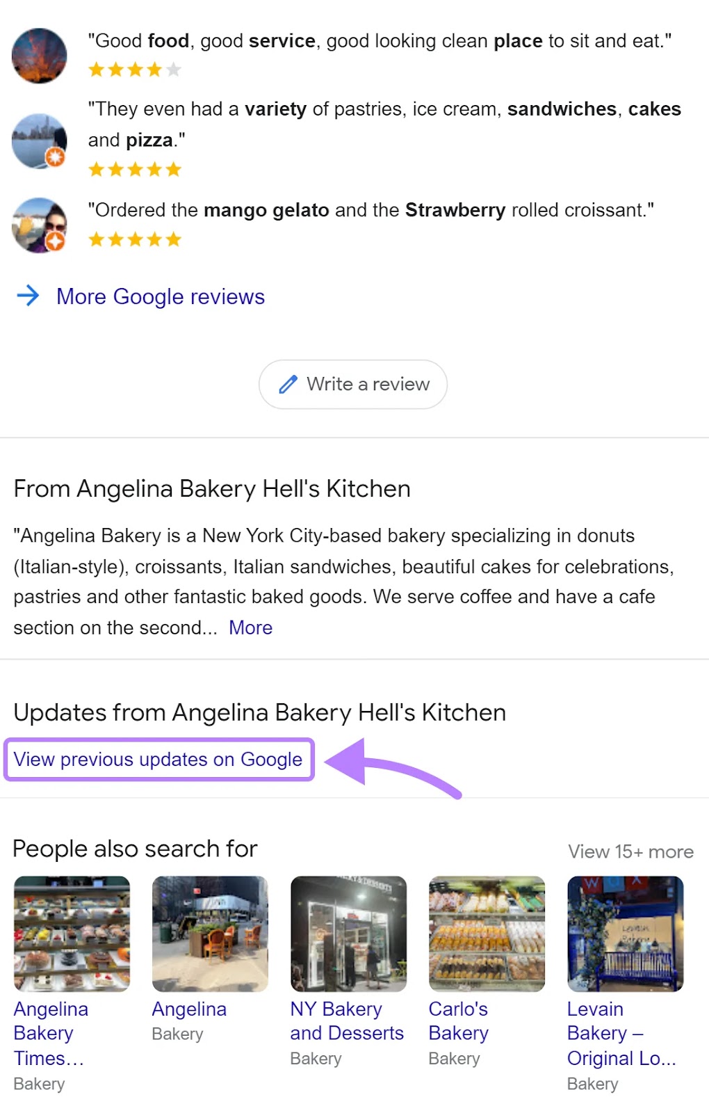 What Are Google Business Profile Posts?