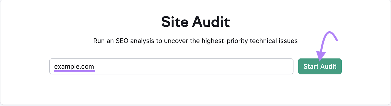 Site Audit search