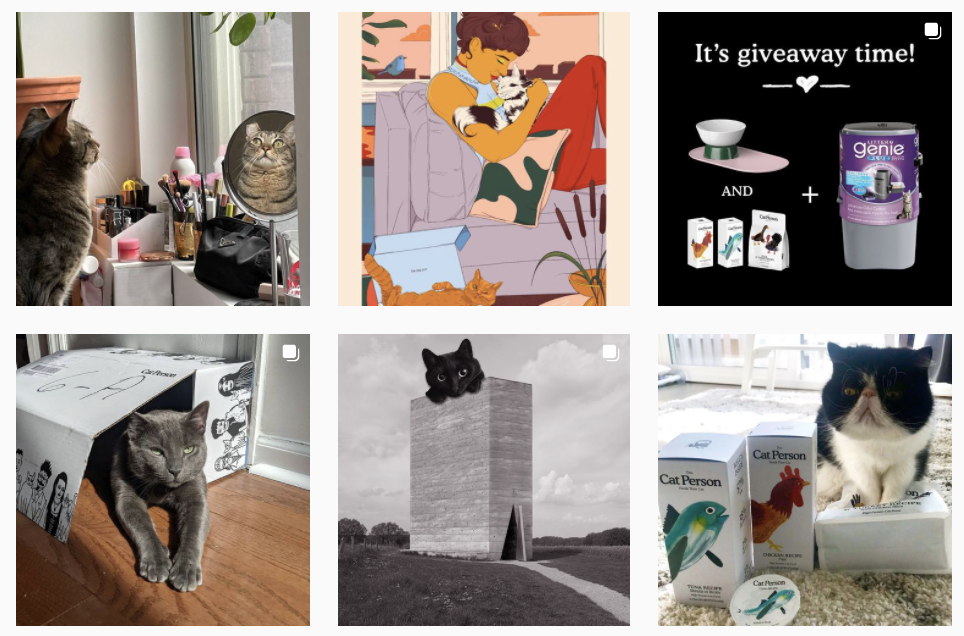 Content marketing examples - Cat Person