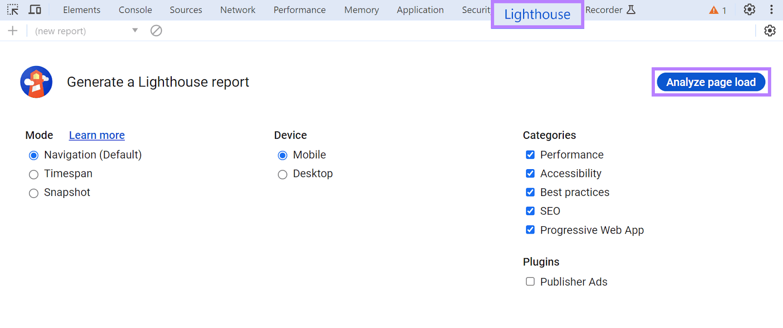 Lighthouse interface within DevTools.