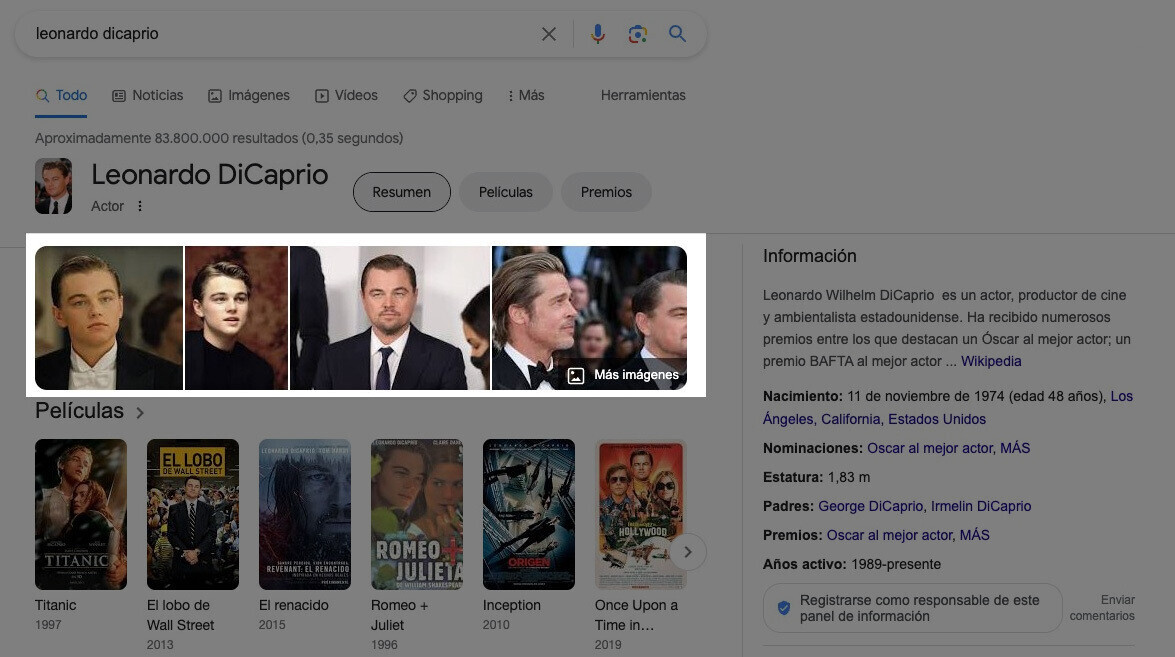 Vista previa de los resultados de Google Imágenes de Leonardo Dicaprio
