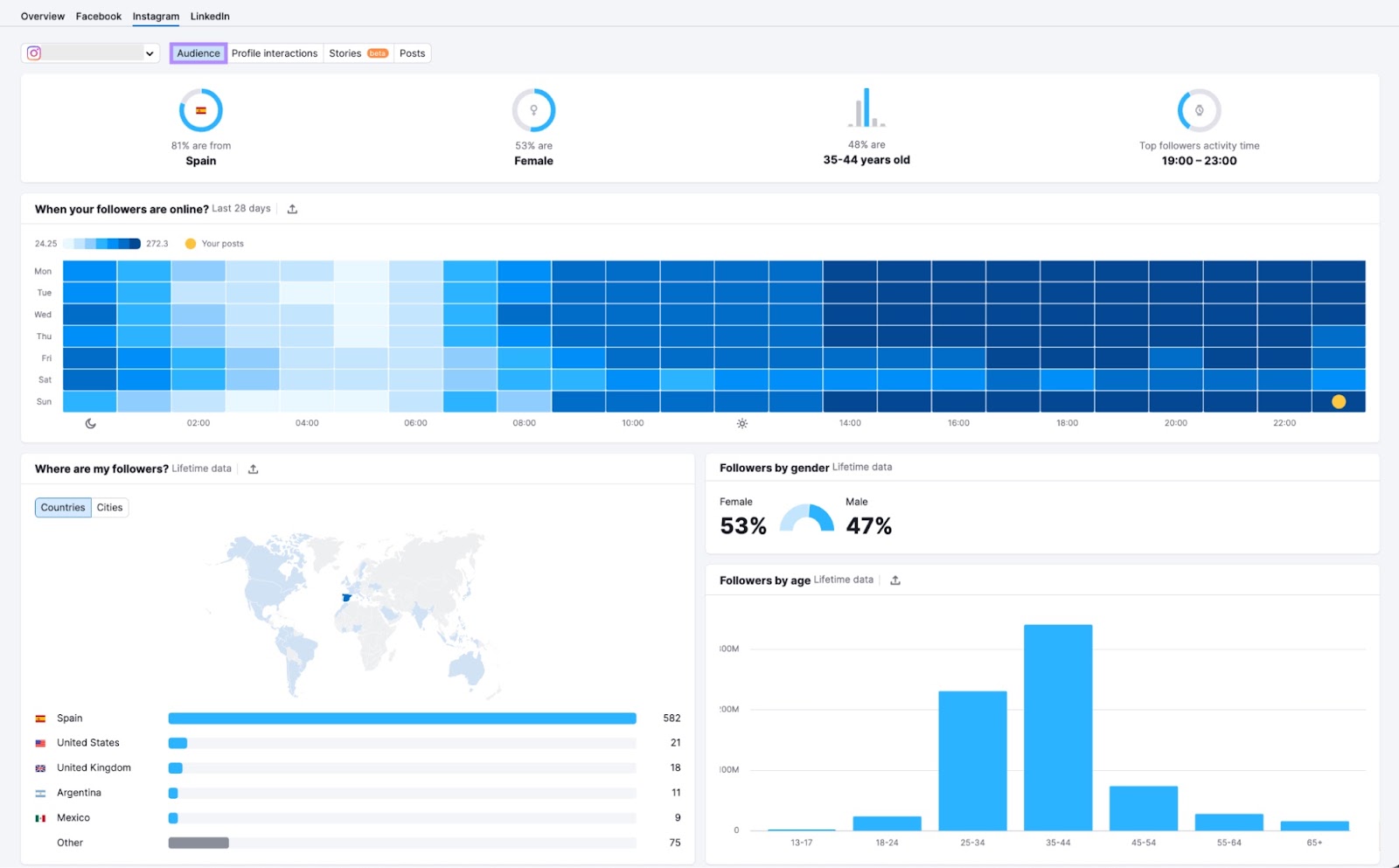 Instagram audience dashboard in Social Analytics tool