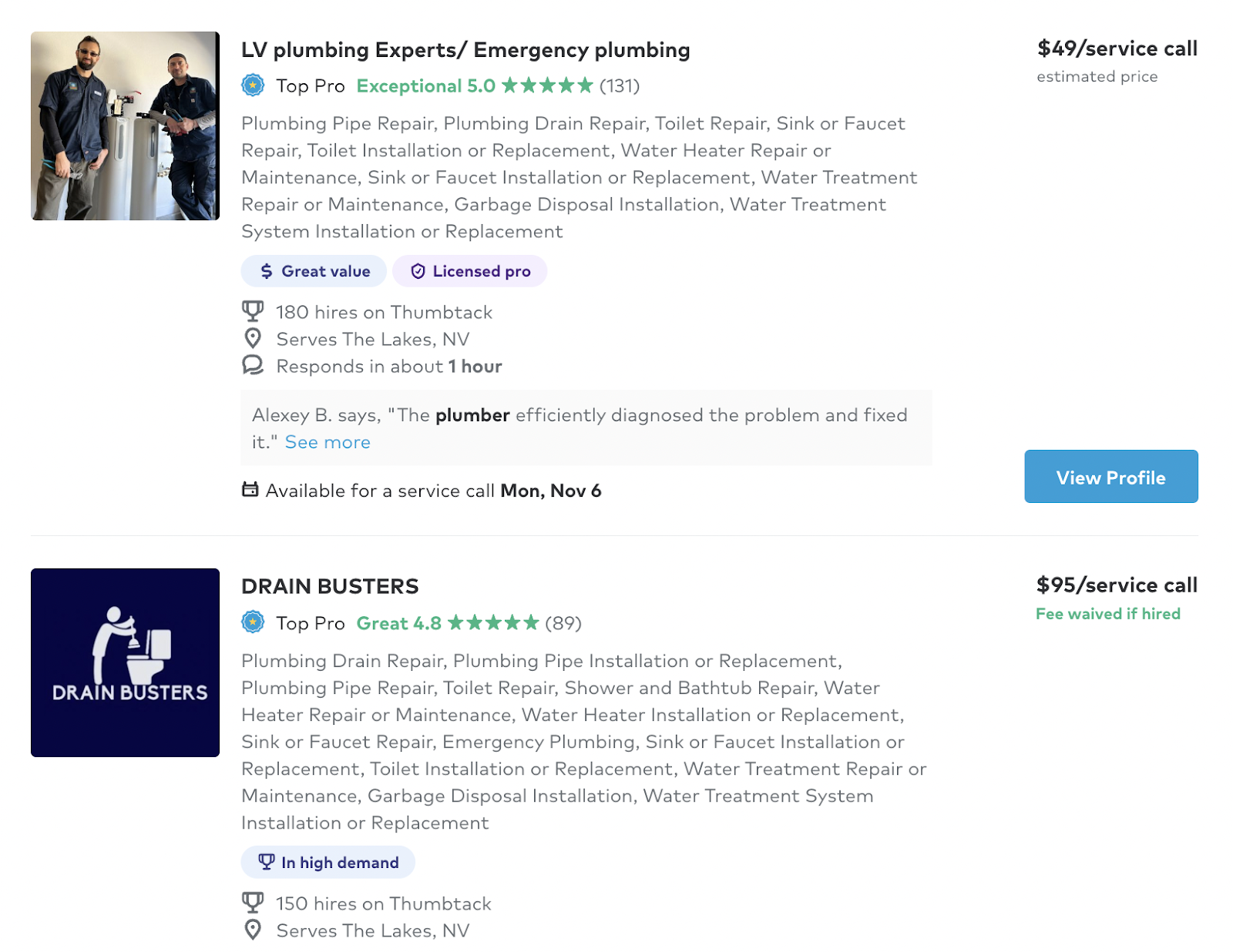 "LV plumbing Experts / Emergency plumbing," and "DRAIN BUSTERS" listings successful  an online directory