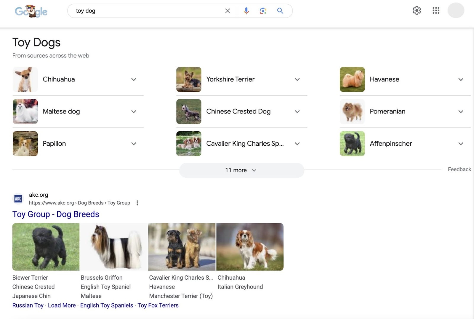 Google results for a “toy dog” search