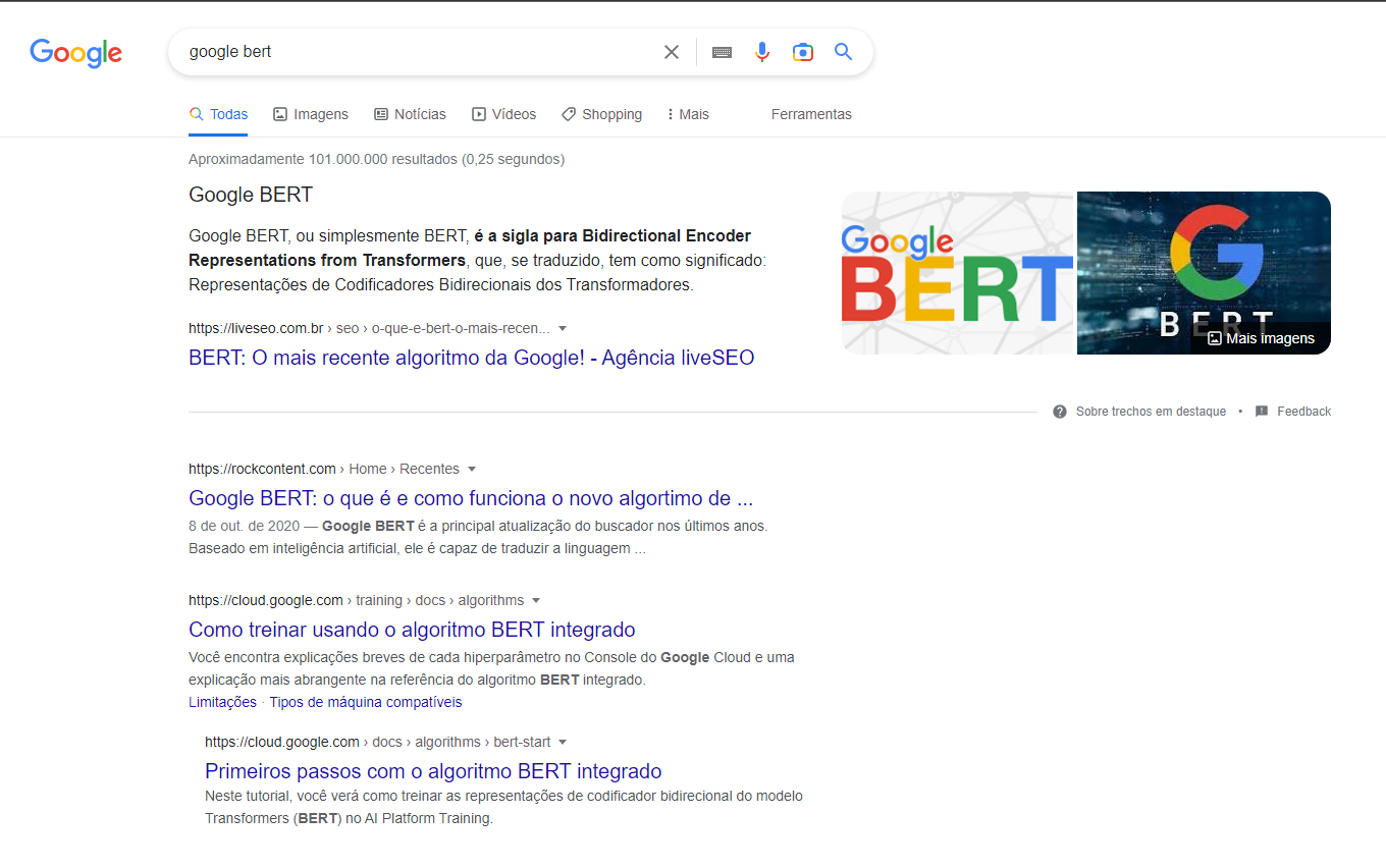 o que é e como este algoritmo funciona 2 exemplo de serp do google