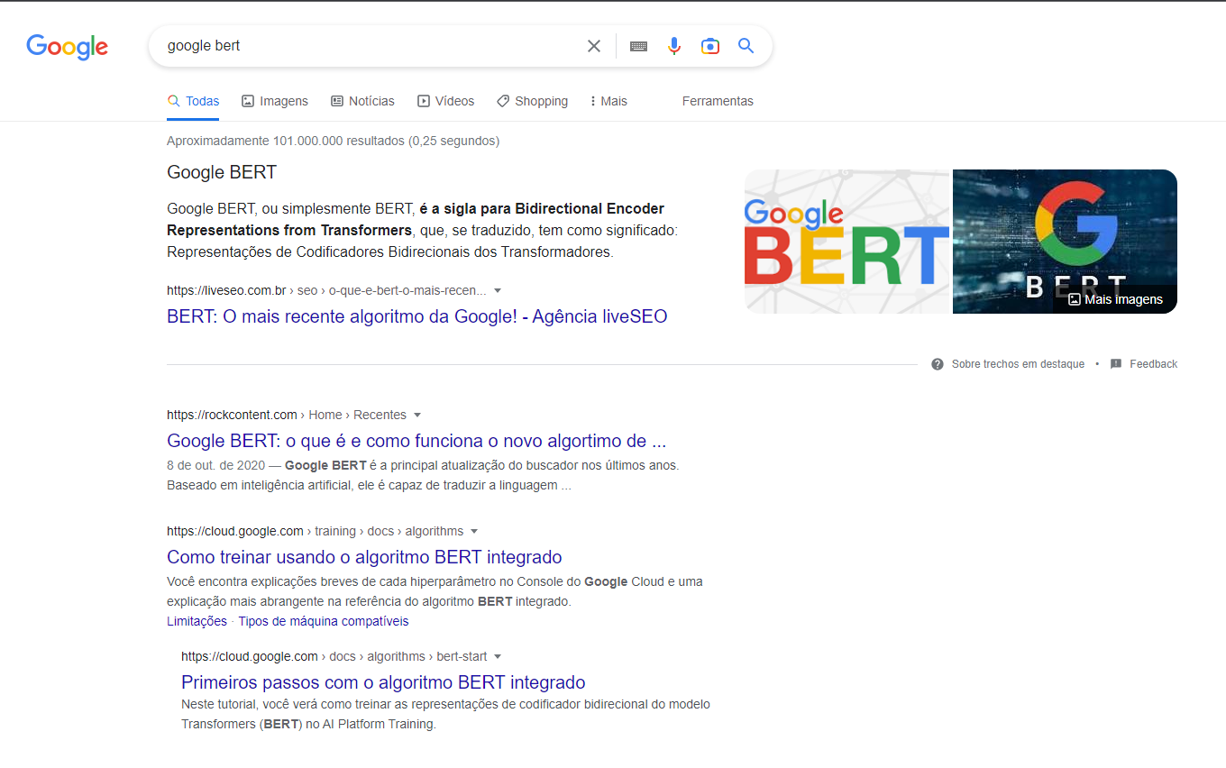 exemplo de serp do google