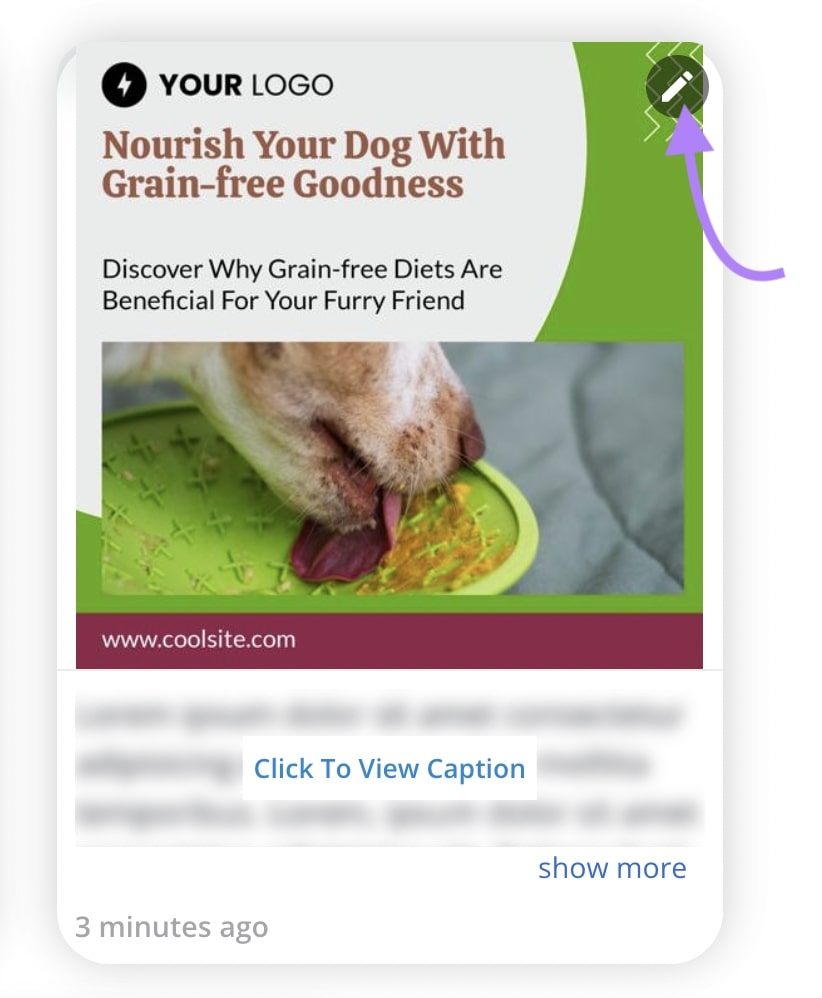 Grain-free dog food post selected for editing in the AI Social Content Generator tool
