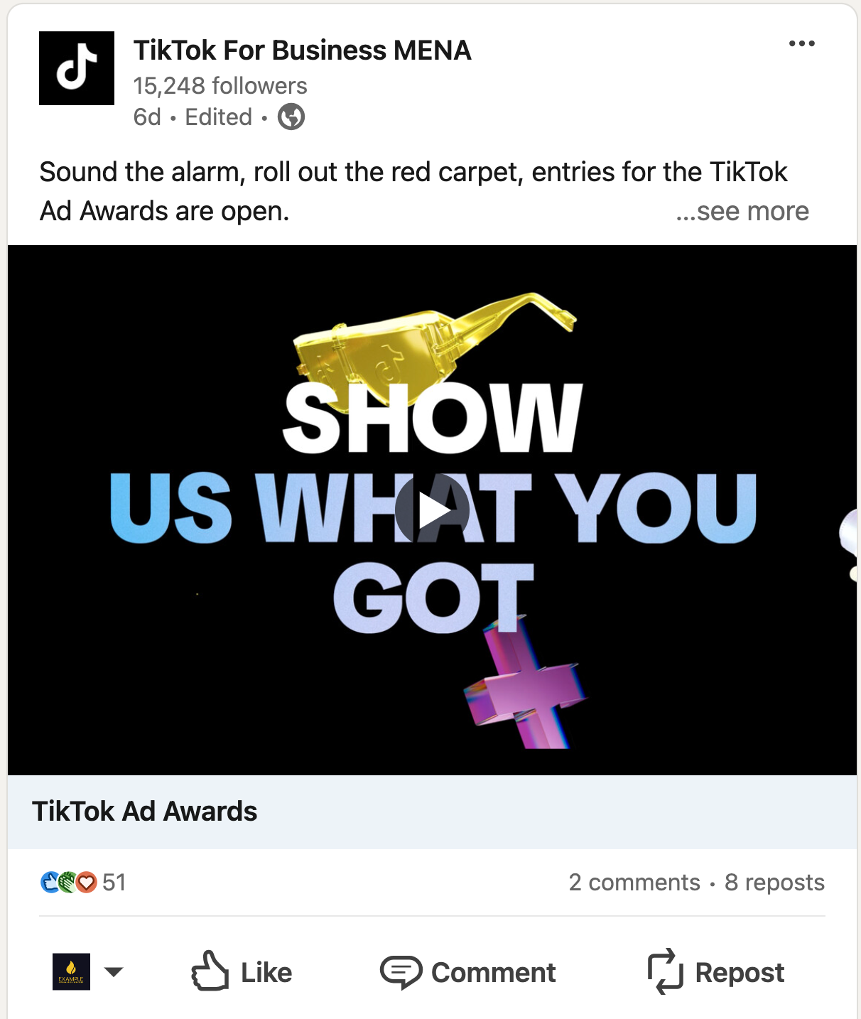 LinkedIn video ad for TikTok for Business MENA showing TikTok Ad Awards video