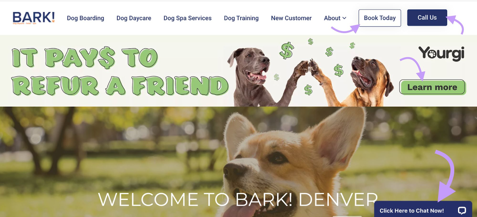 BARK! homepage with "Book Today" "Call Us" and "Learn more" CTAs highlighted