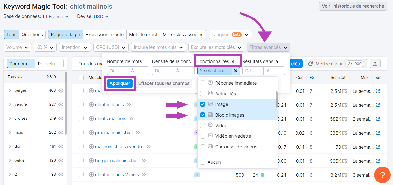 Filtres avancés pour les fonctionnalités SERP de Keyword Magic Tool de Semrush