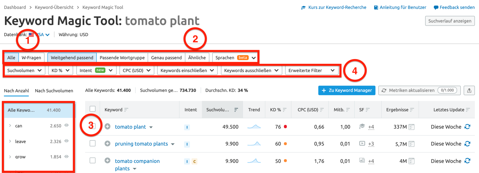 Semrush Filter Keyword Magic Tool