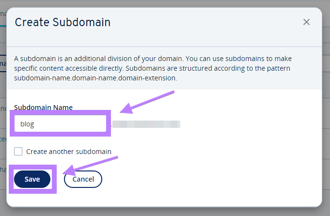 What Is a Subdomain? Definition, Examples and Setup