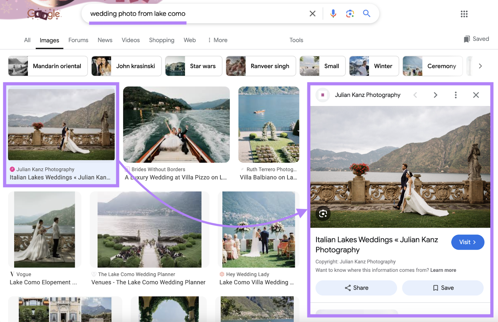 Image search results with top organic image result expanded.