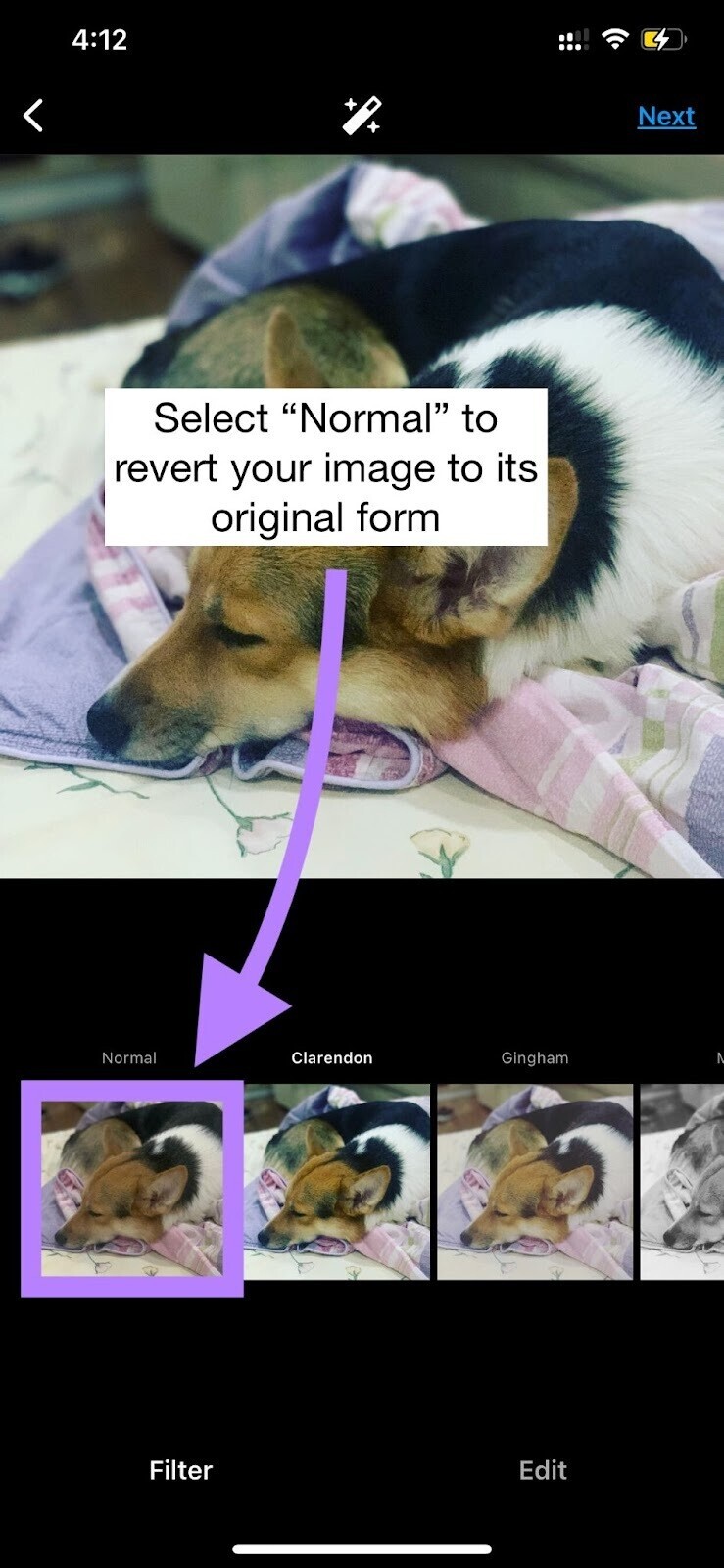 using “Normal” filter on Instagram images reverts your image to its original form