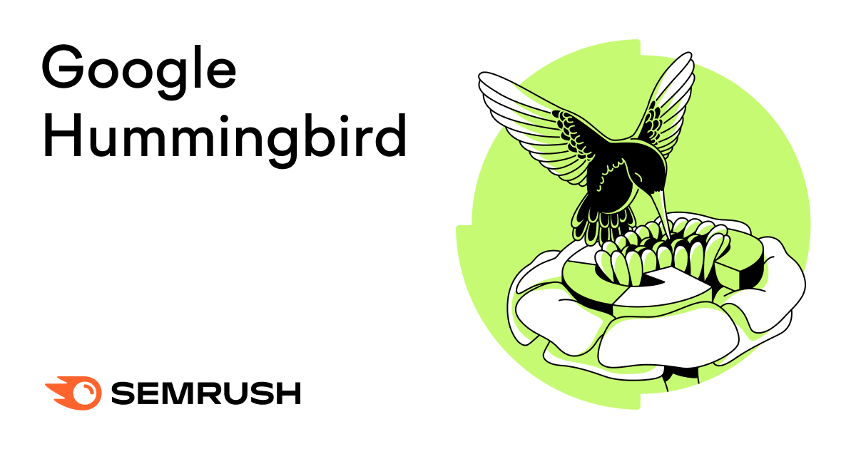 A Beginner’s Guide to Google Hummingbird [2023]