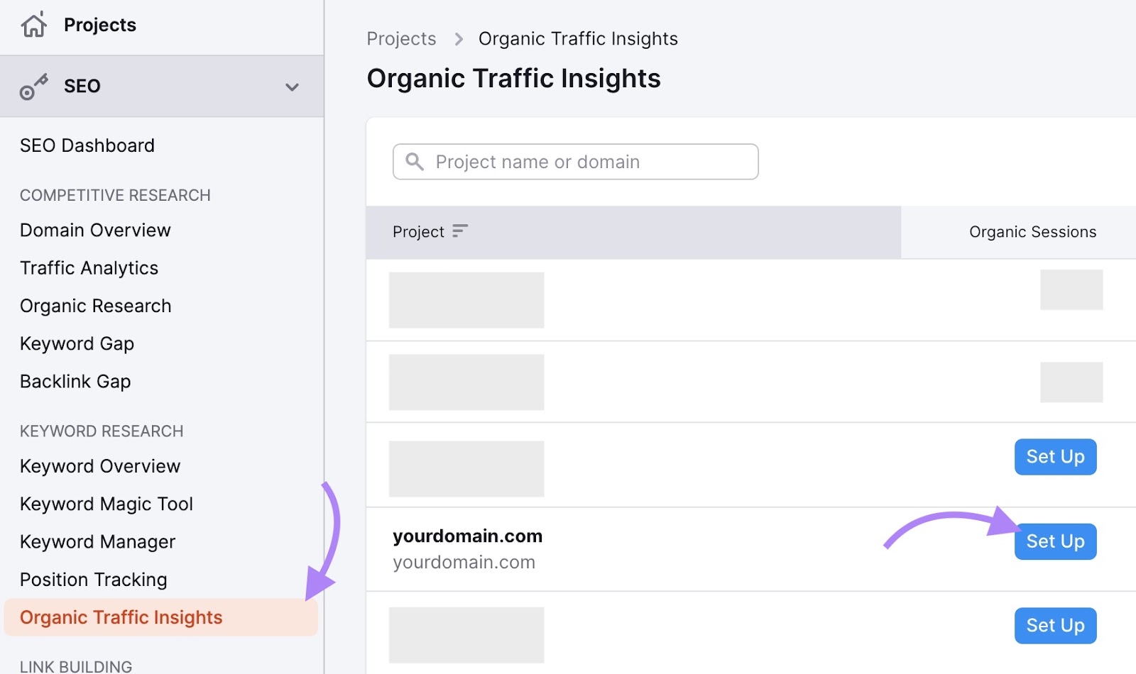 Organic traffic insights highlighted in the left menu bar with 'Set up' next to a specific domain clicked.