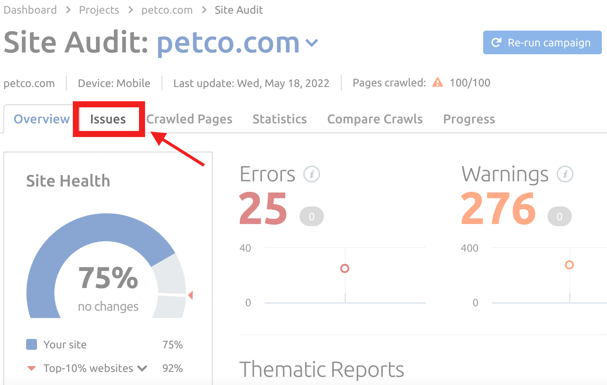 Petco Site Audit Issues tab